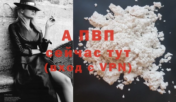 СК Балахна