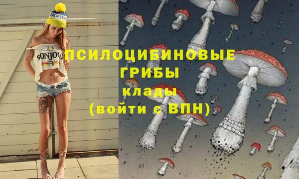амф Нягань