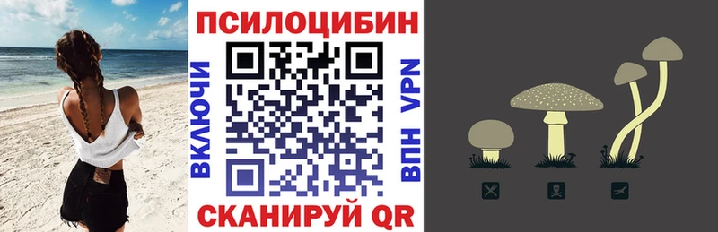 Псилоцибиновые грибы мицелий  Купить закладки  Иркутск 